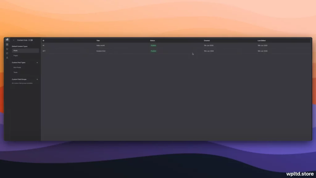 Etch Builder Post type interface