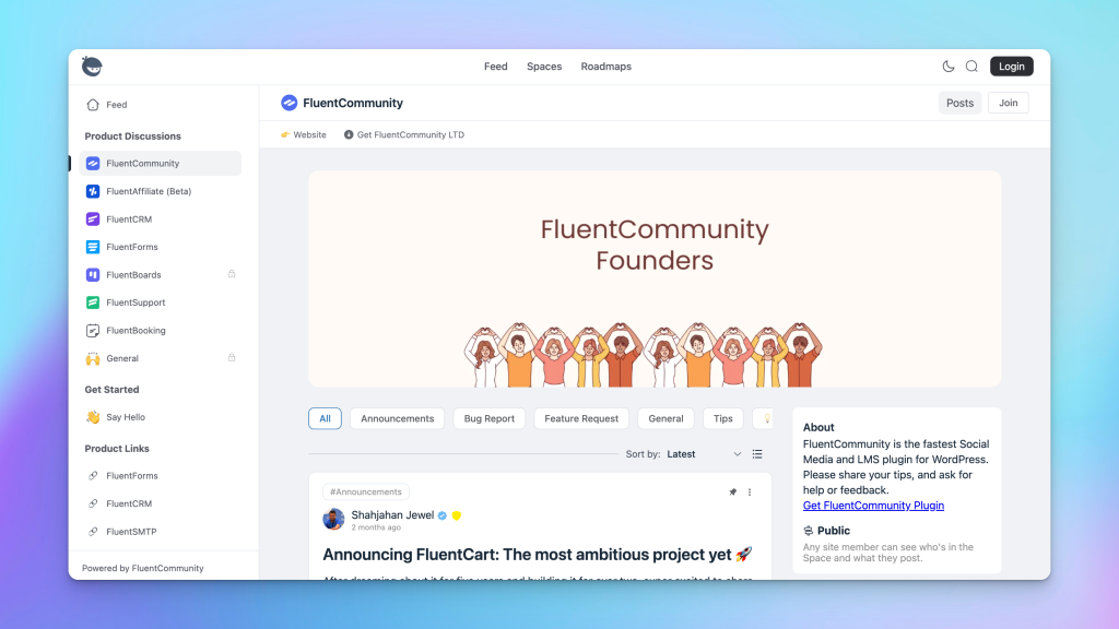 Fluent Community Demo example